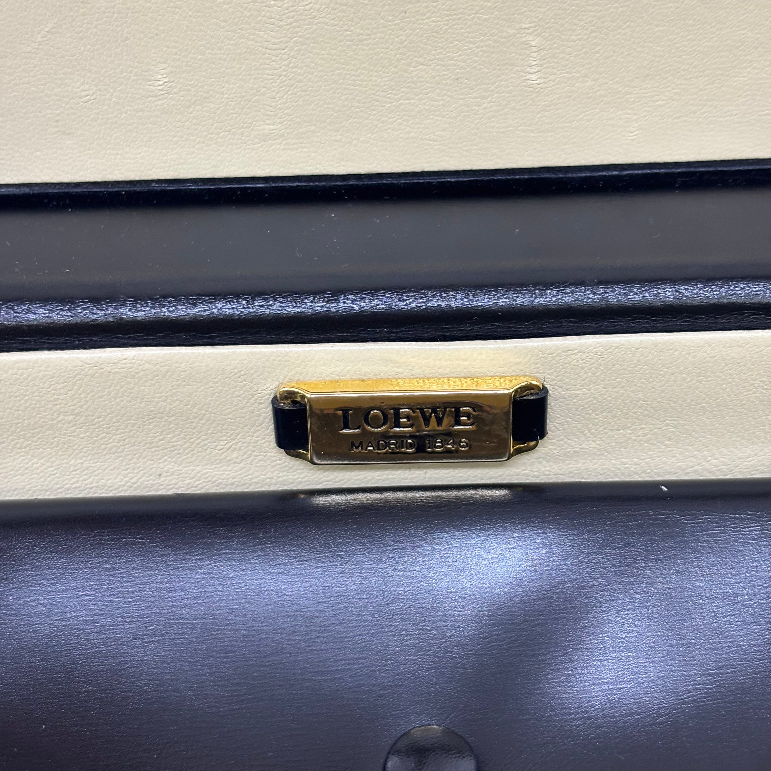 ロエベレザーバニティーバッグ image 10
